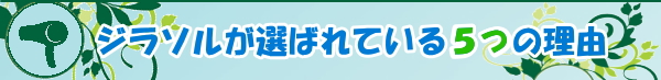 選ばれる理由