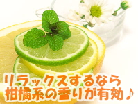 柑橘系